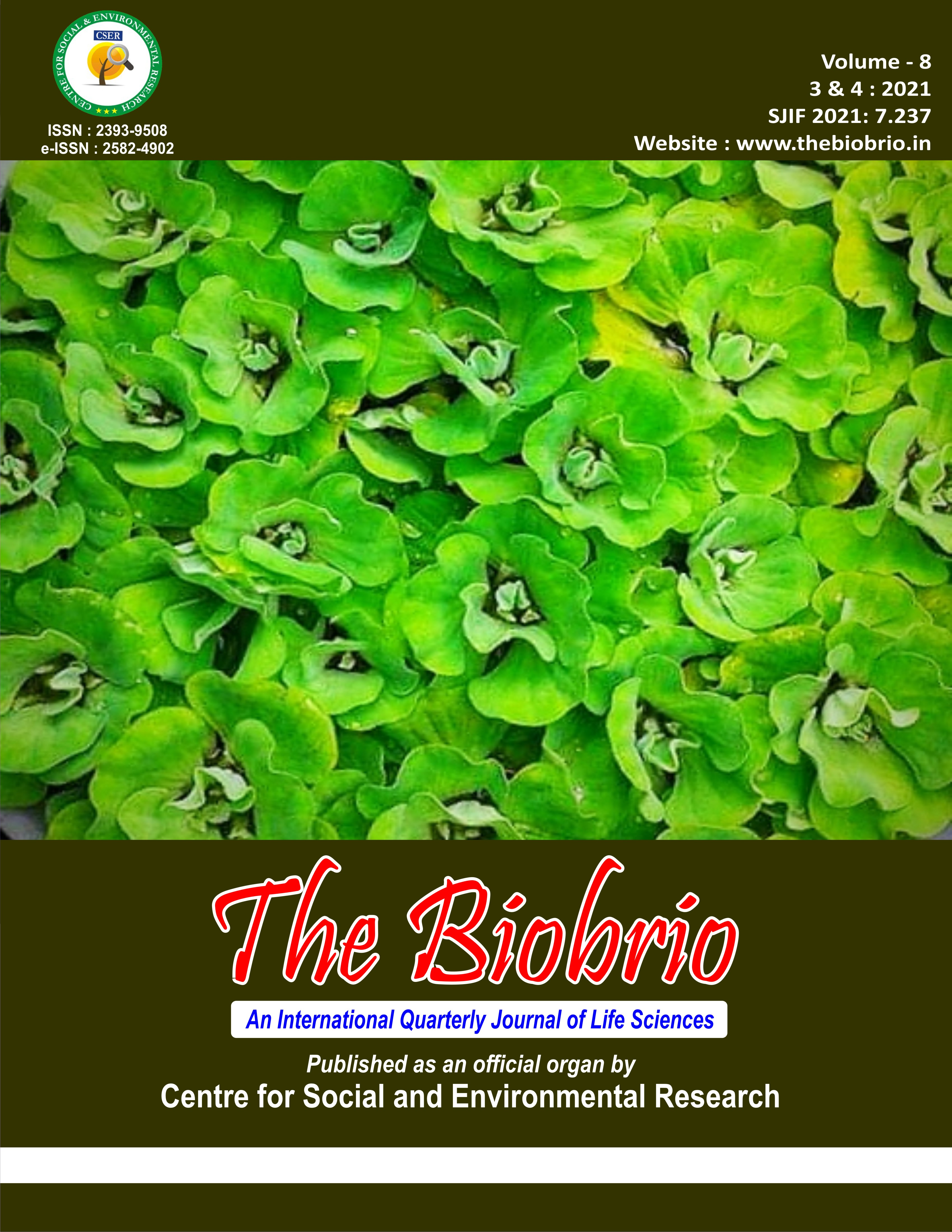The BioBrio publication